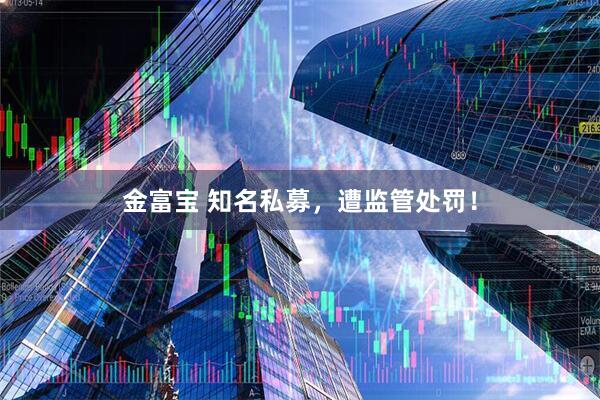 金富宝 知名私募，遭监管处罚！