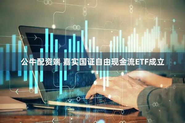 公牛配资端 嘉实国证自由现金流ETF成立