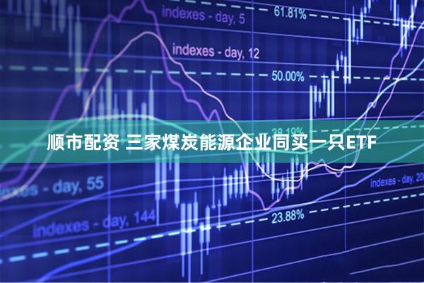 顺市配资 三家煤炭能源企业同买一只ETF