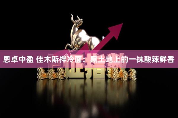 恩卓中盈 佳木斯拌冷面：黑土地上的一抹酸辣鲜香